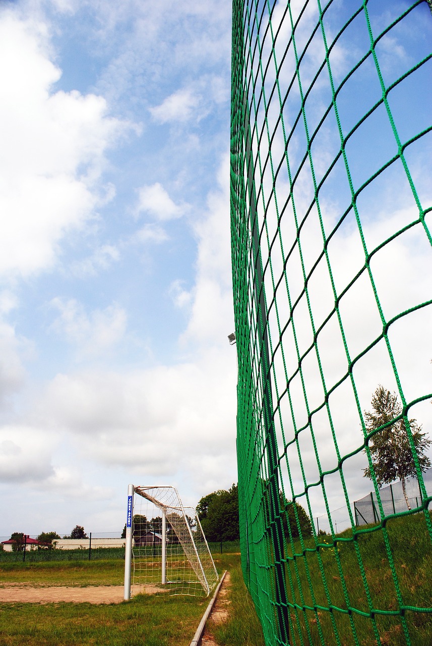 局积极行动 局积极行动