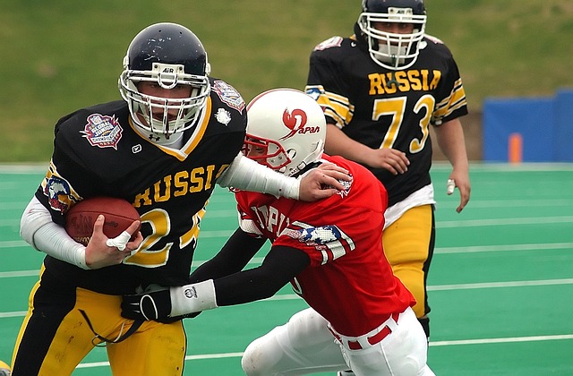 爾維斯辯護 爾維斯辯護