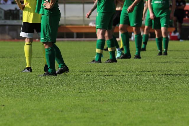 球迷支持 球迷支持