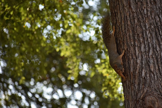 的力量与支 的力量与支
