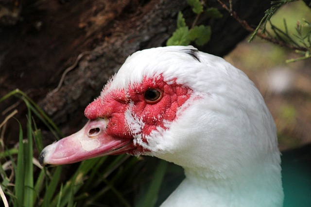 袭这个铁汉 袭这个铁汉