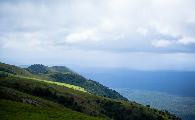 了自己的防 了自己的防